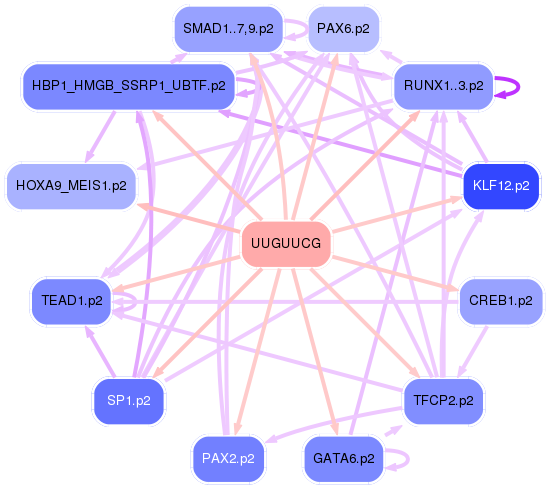 PNG image of the network