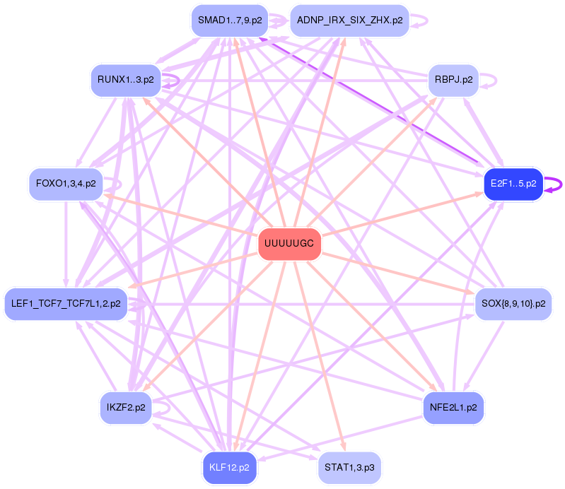 PNG image of the network