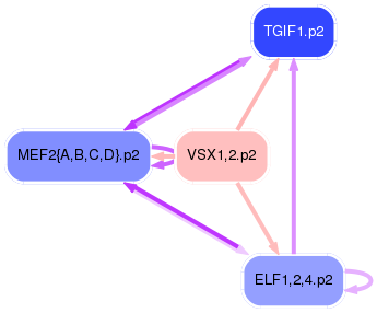 PNG image of the network