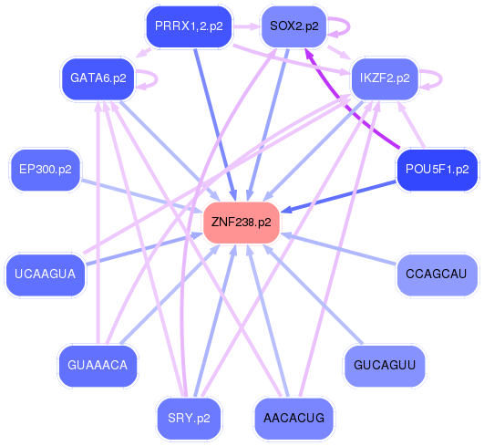 PNG image of the network