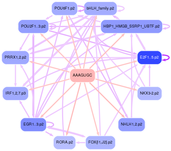 PNG image of the network
