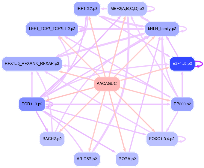 PNG image of the network