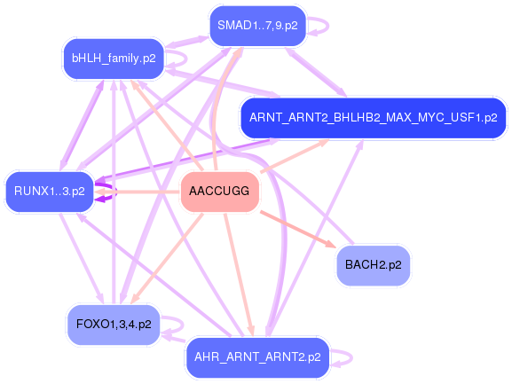 PNG image of the network