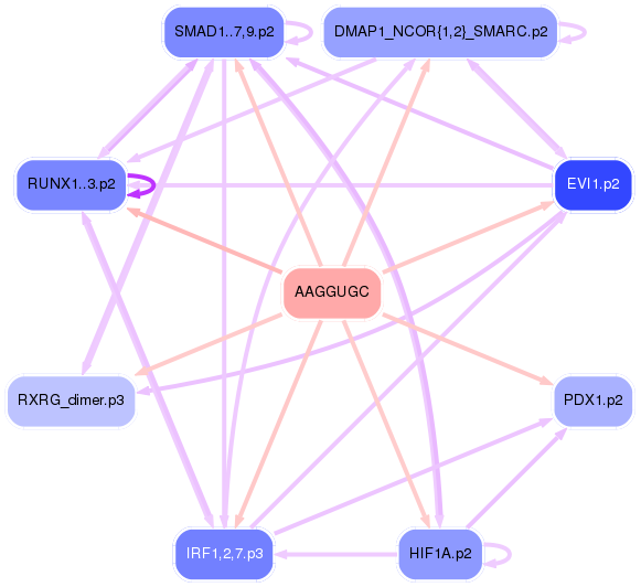 PNG image of the network