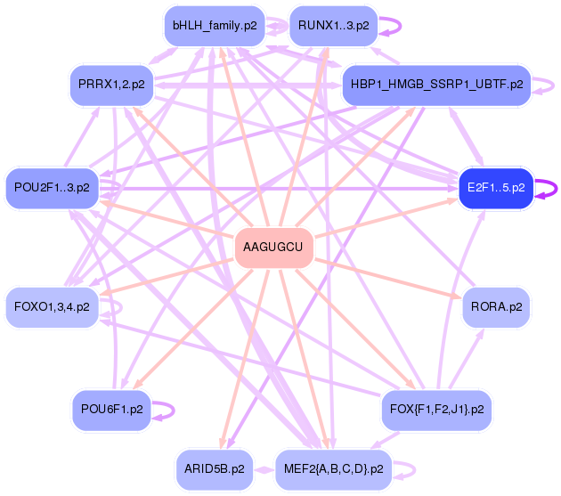 PNG image of the network
