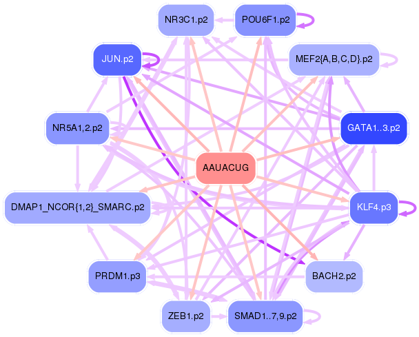 PNG image of the network