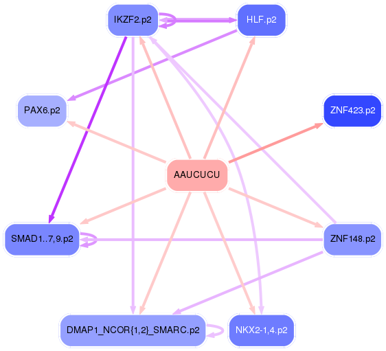 PNG image of the network