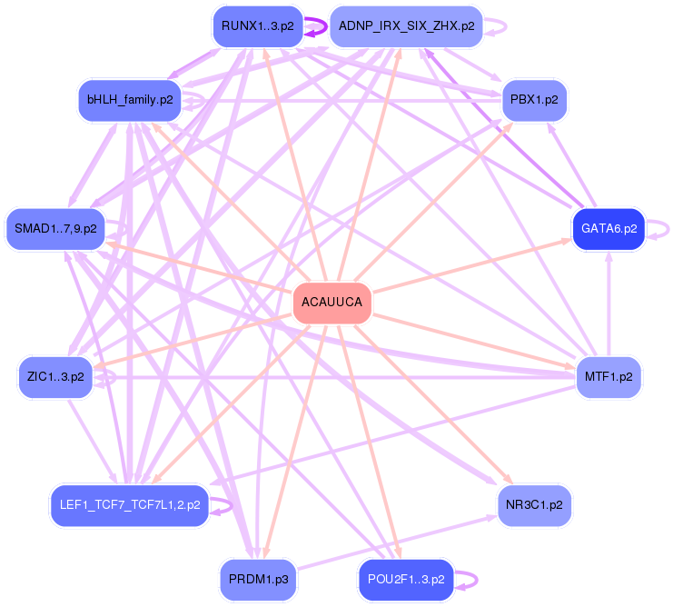 PNG image of the network