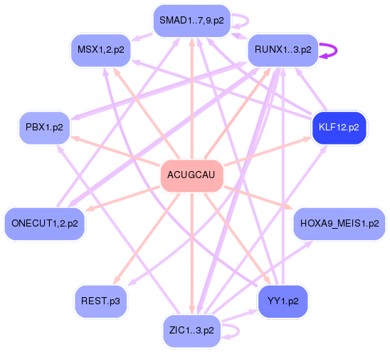 PNG image of the network