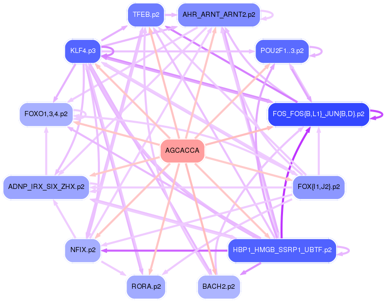 PNG image of the network