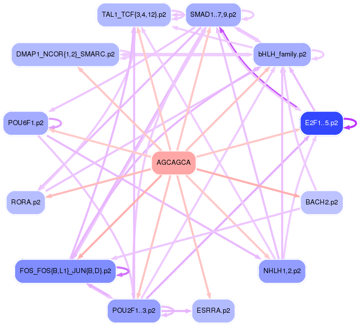 PNG image of the network