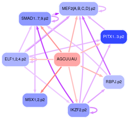 PNG image of the network