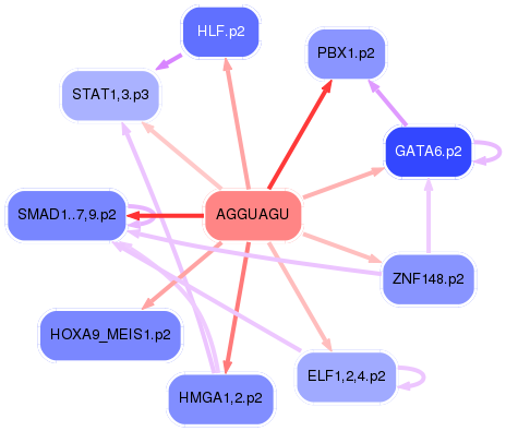 PNG image of the network