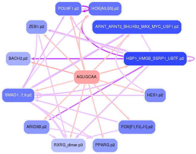 PNG image of the network