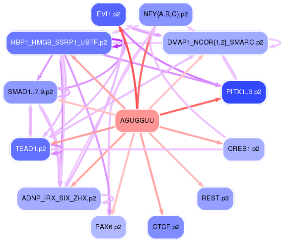 PNG image of the network
