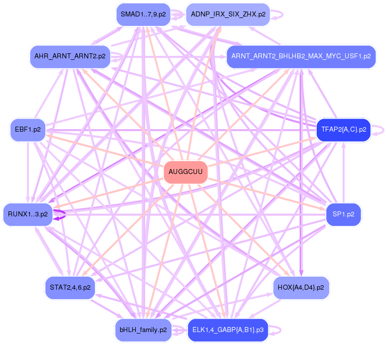 PNG image of the network