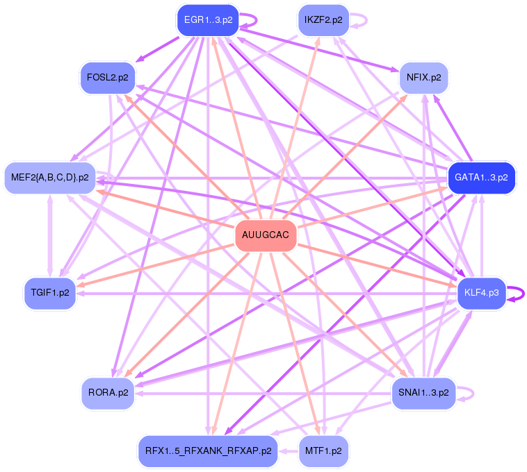 PNG image of the network