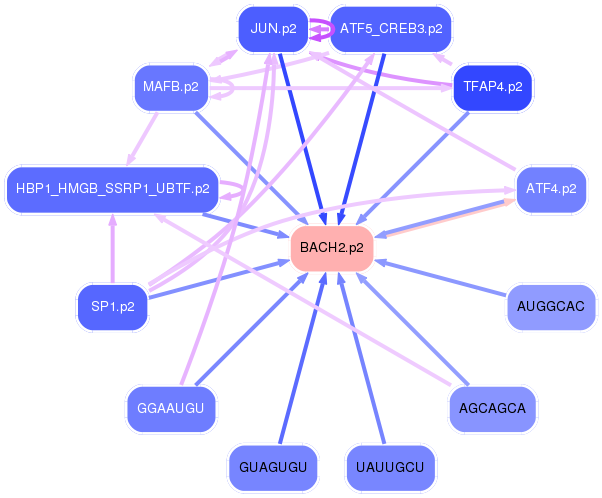 PNG image of the network