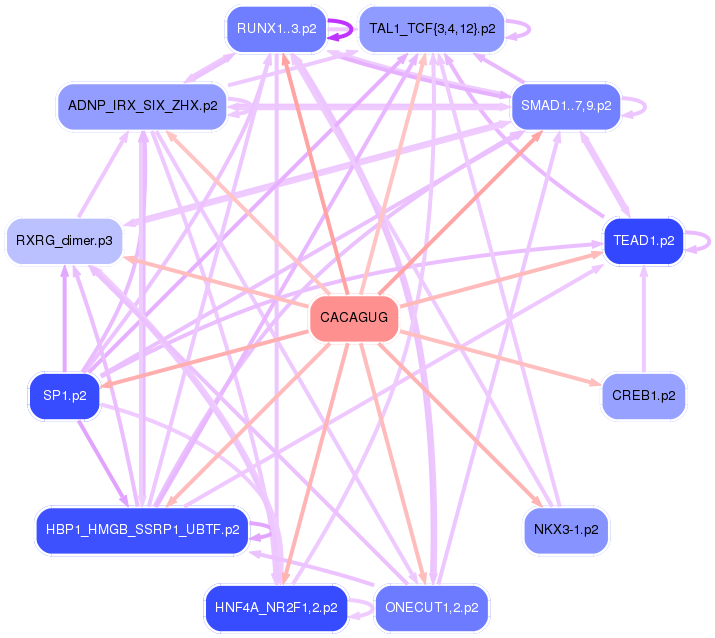 PNG image of the network