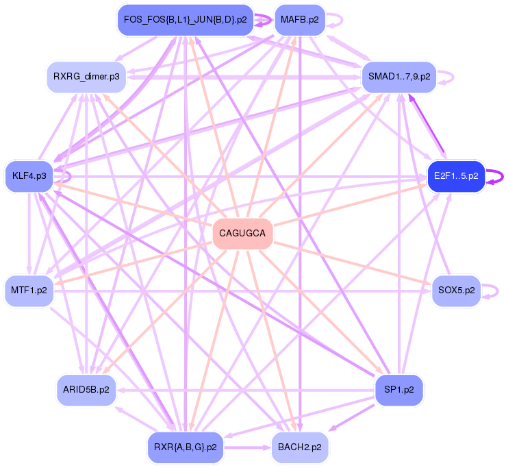 PNG image of the network