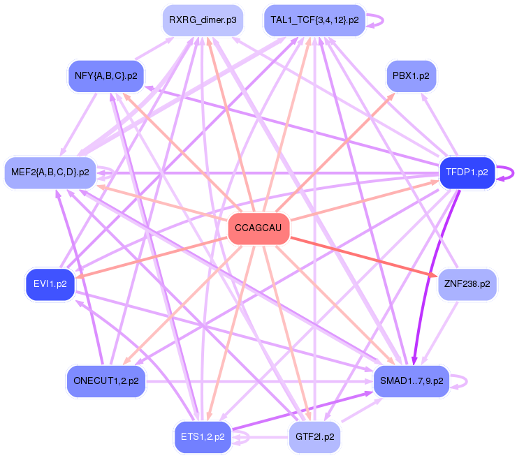 PNG image of the network