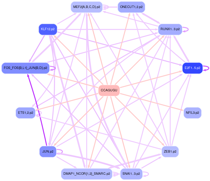 PNG image of the network