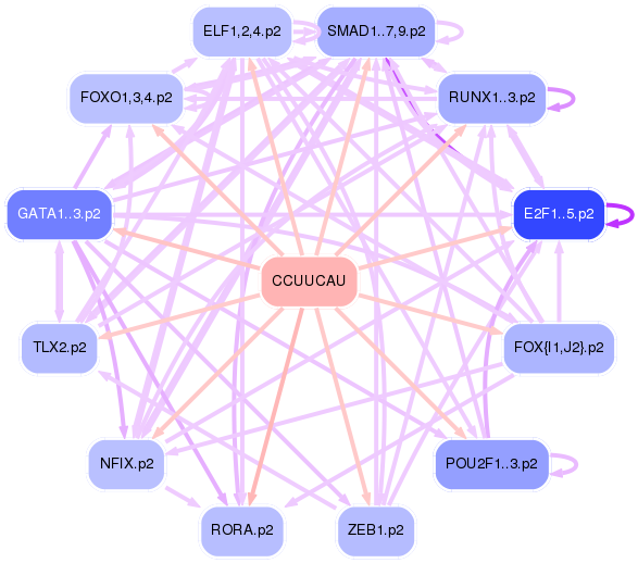 PNG image of the network