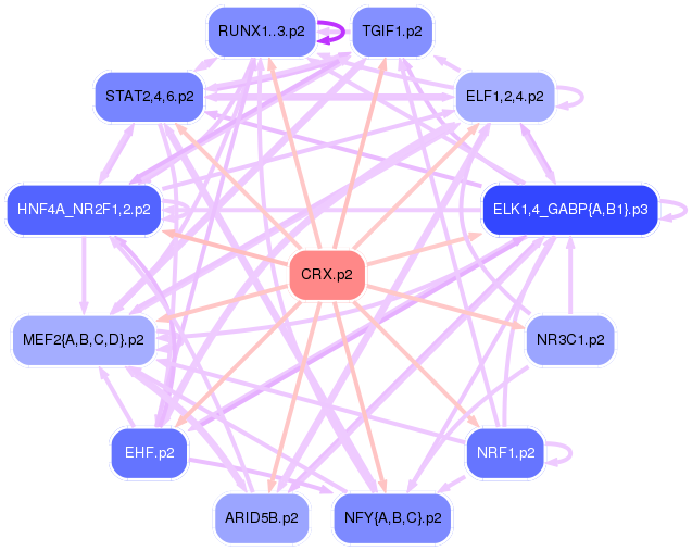 PNG image of the network