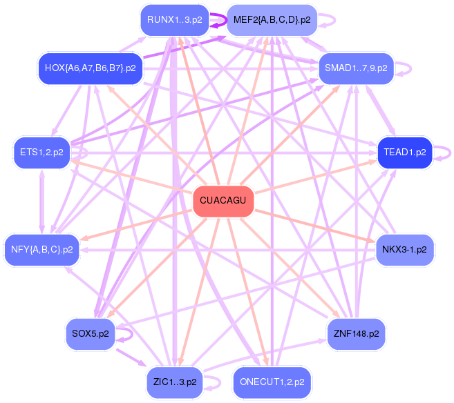 PNG image of the network
