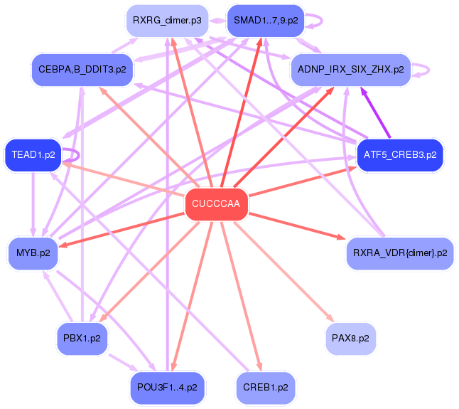 PNG image of the network