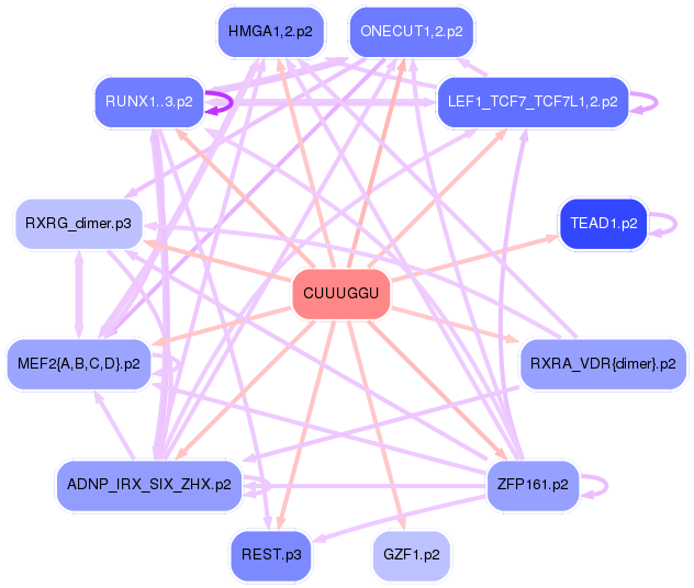 PNG image of the network