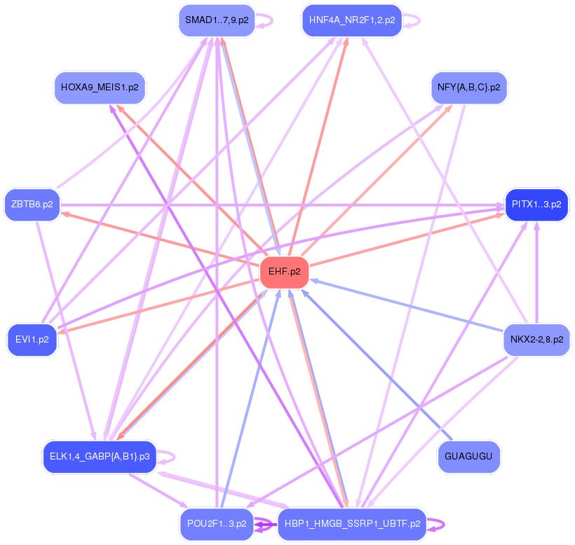 PNG image of the network