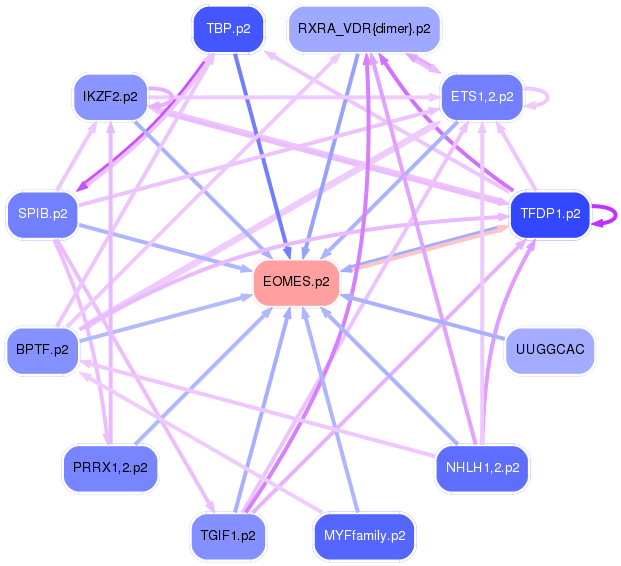 PNG image of the network
