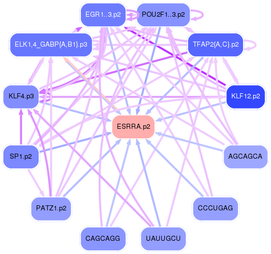 PNG image of the network
