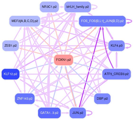 PNG image of the network