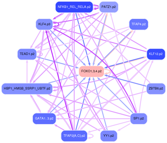 PNG image of the network