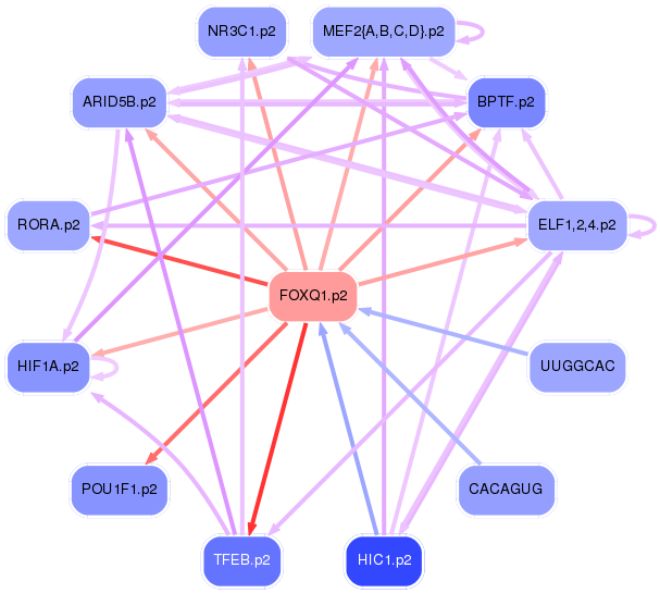 PNG image of the network