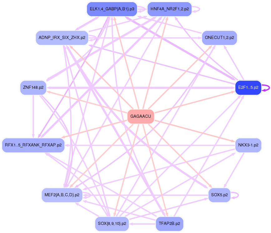 PNG image of the network