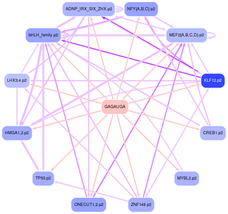 PNG image of the network