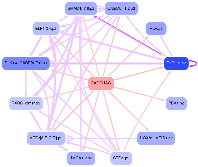PNG image of the network