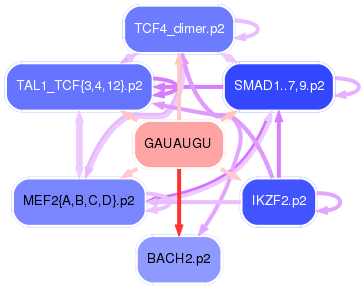 PNG image of the network