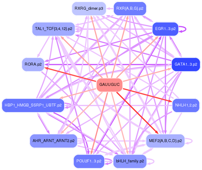 PNG image of the network