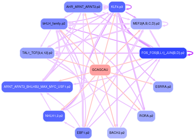 PNG image of the network