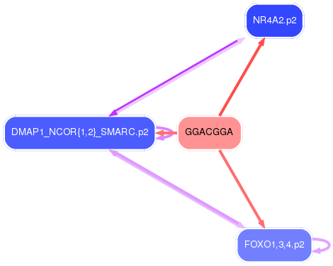 PNG image of the network