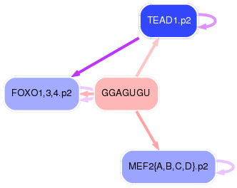 PNG image of the network