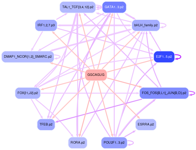PNG image of the network