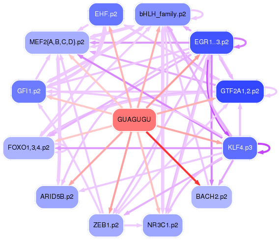 PNG image of the network