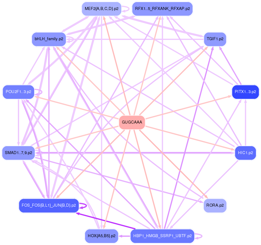 PNG image of the network