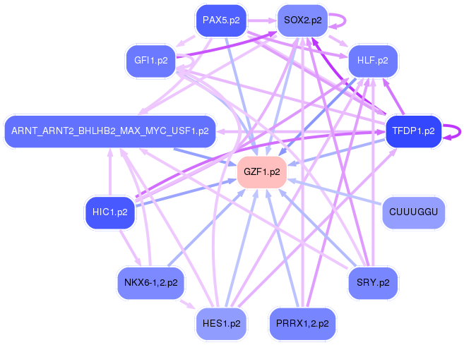 PNG image of the network