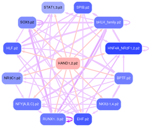 PNG image of the network